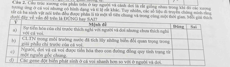 Cầu trúc xương của phần trên ở tay người và cánh dơi là rất giống nhau trong khi đó các xương 
tương ứng ở cá voi nhưng có hình dạng và tỉ lệ rất khác. Tuy nhiên, các số liệu di truyền chứng minh rằng 
tất cả ba sinh vật nói trên đều được phân li từ một tổ tiên chung và trong cùng một thời gian. Mỗi giải thích 
đưới đây về vấn đề tr