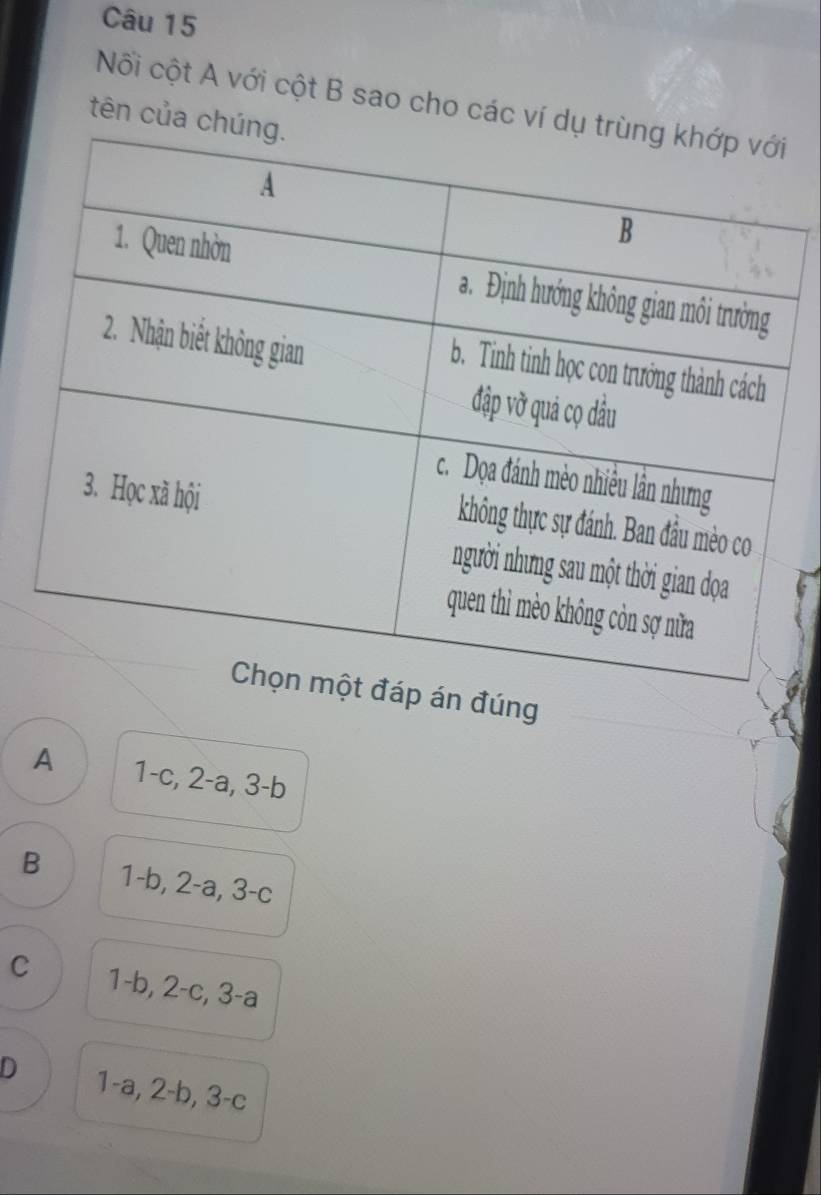 Nối cột A với cột B sao cho các ví
tên của
án đúng
A 1-c, 2-a, 3-b
B 1-b, 2-a, 3-c
C 1-b, 2-c, 3-a
D 1-a, 2-b, 3-c