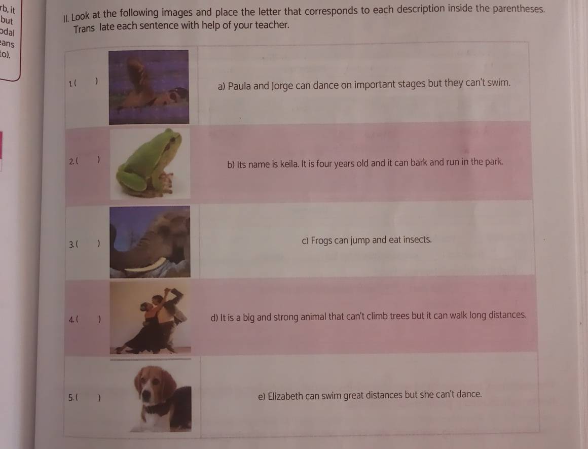 rb,it 
but II. Look at the following images and place the letter that corresponds to each description inside the parentheses. 
odal 
Trans late each sentence with help of your teacher. 
ans 
(o). 
1. ( 
a) Paula and Jorge can dance on important stages but they can't swim. 
2( ) 
b) Its name is keila. It is four years old and it can bark and run in the park. 
3. (c) Frogs can jump and eat insects. 
4.( ) d) It is a big and strong animal that can't climb trees but it can walk long distances. 
5. ( ) e) Elizabeth can swim great distances but she can't dance.