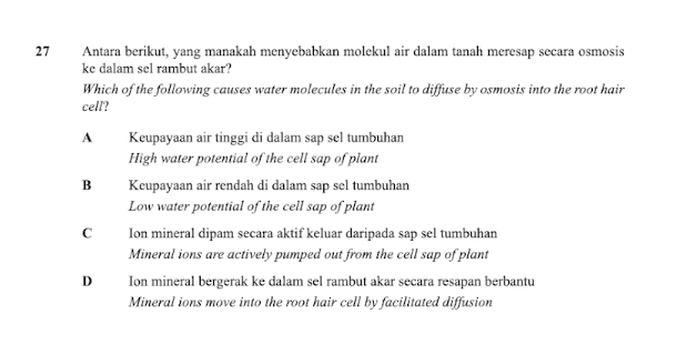 Antara berikut, yang manakah menyebabkan molekul air dalam tanah meresap secara osmosis
ke dalam sel rambut akar?
Which of the following causes water molecules in the soil to diffuse by osmosis into the root hair
cell?
A Keupayaan air tinggi di dalam sap sel tumbuhan
High water potential of the cell sap of plant
B Keupayaan air rendah di dalam sap sel tumbuhan
Low water potential of the cell sap of plant
C Ion mineral dipam secara aktif keluar daripada sap sel tumbuhan
Mineral ions are actively pumped out from the cell sap of plant
D Ion mineral bergerak ke dalam sel rambut akar secara resapan berbantu
Mineral ions move into the root hair cell by facilitated diffusion