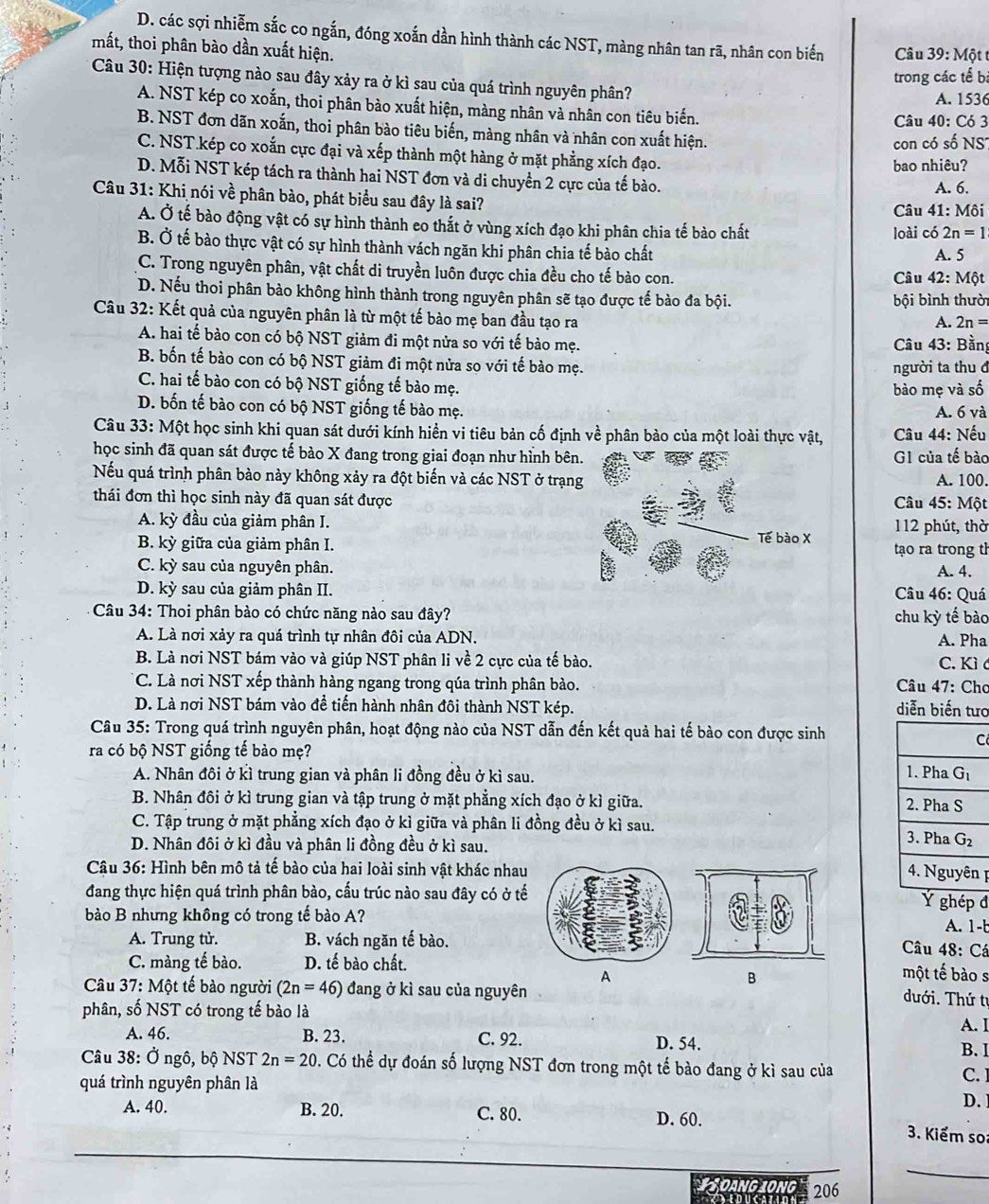 D. các sợi nhiễm sắc co ngắn, đóng xoắn dần hình thành các NST, màng nhân tan rã, nhân con biển
mất, thoi phân bào dần xuất hiện.  Câu 39: Một t
trong các tế bà
Câu 30: Hiện tượng nào sau đây xảy ra ở kì sau của quá trình nguyên phân?
A. 1536
A. NST kép co xoắn, thoi phân bào xuất hiện, màng nhân và nhân con tiêu biến.
Câu 40: Có 3
B. NST đơn dãn xoắn, thoi phân bào tiêu biến, màng nhân và nhân con xuất hiện.
con có số NS7
C. NST.kép co xoắn cực đại và xếp thành một hàng ở mặt phẳng xích đạo.
bao nhiêu?
D. Mỗi NST kép tách ra thành hai NST đơn và di chuyền 2 cực của tế bào.
A. 6.
Câu 31: Khi nói về phân bào, phát biểu sau đây là sai?
Câu 41: Môi
A. Ở tế bào động vật có sự hình thành eo thất ở vùng xích đạo khi phân chia tế bào chất loài có 2n=1
B. Ở tế bào thực vật có sự hình thành vách ngăn khi phân chia tế bào chất
A. 5
C. Trong nguyên phân, vật chất di truyền luôn được chia đều cho tế bào con. Một
Câu 42:
D. Nếu thoi phân bảo không hình thành trong nguyên phân sẽ tạo được tế bào đa bội.
bội bình thười
Câu 32: Kết quả của nguyên phân là từ một tế bào mẹ ban đầu tạo ra
A. 2n=
A. hai tế bào con có bộ NST giảm đi một nửa so với tế bào mẹ.  Câu 43: Bằng
B. bốn tế bào con có bộ NST giảm đi một nửa so với tế bào mẹ.
người ta thu đ
C. hai tế bào con có bộ NST giống tế bào mẹ. bào mẹ và số
D. bốn tế bào con có bộ NST giống tế bào mẹ. A. 6 và
Câu 33: Một học sinh khi quan sát dưới kính hiền vi tiêu bản cố định về phân bảo của một loài thực vật, Câu 44: Nếu
học sinh đã quan sát được tế bào X đang trong giai đoạn như hình bên. G1 của tế bào
Nếu quá trình phân bào này không xảy ra đột biến và các NST ở trạng  Câu 45: Một A. 100.
thái đơn thì học sinh này đã quan sát được
A. kỳ đầu của giảm phân I.
B. kỳ giữa của giảm phân I. Tế bào X 112 phút, thờ
tạo ra trong th
C. kỳ sau của nguyên phân. A. 4.
D. kỳ sau của giảm phân II.  Câu 46: Quá
Câu 34: Thoi phân bào có chức năng nào sau đây? chu kỳ tế bào
A. Là nơi xảy ra quá trình tự nhân đôi của ADN. A. Pha
B. Là nơi NST bám vào và giúp NST phân li về 2 cực của tế bào. C. Kì c
* C. Là nơi NST xếp thành hàng ngang trong qúa trình phân bào. Câu 47 : Chơ
D. Là nơi NST bám vào đề tiến hành nhân đôi thành NST kép. diễn biến tưo
Câu 35: Trong quá trình nguyên phân, hoạt động nào của NST dẫn đến kết quả hai tế bào con được sinh
C
ra có bộ NST giống tế bào mẹ?
A. Nhân đôi ở kì trung gian và phân li đồng đều ở kì sau. 
B. Nhân đôi ở kì trung gian và tập trung ở mặt phẳng xích đạo ở kì giữa. 
C. Tập trung ở mặt phẳng xích đạo ở kì giữa và phân li đồng đều ở kì sau. 
D. Nhân đôi ở kì đầu và phân li đồng đều ở kì sau.
Câu 36: Hình bên mô tả tế bào của hai loài sinh vật khác nhau
 
đang thực hiện quá trình phân bào, cấu trúc nào sau đây có ở tếÝ ghép đ
bào B nhưng không có trong tế bào A?A. 1-b
A. Trung tử. B. vách ngăn tế bào.
Câu 48: Cá
C. màng tế bào. D. tế bào chất. một tế bào s
A
B
Câu 37: Một tế bào người (2n=46) đang ở kì sau của nguyên
dưới. Thứ tr
phân, số NST có trong tế bào là
A. I
A. 46. B. 23. C. 92. D. 54. B. I
Câu 38: Ở ngô, bộ NST 2n=20. Có thể dự đoán số lượng NST đơn trong một tế bào đang ở kì sau của C.
quá trình nguyên phân là
D. 
A. 40. B. 20. C. 80. D. 60.  3. Kiểm so:
_
* Soàng Long 206