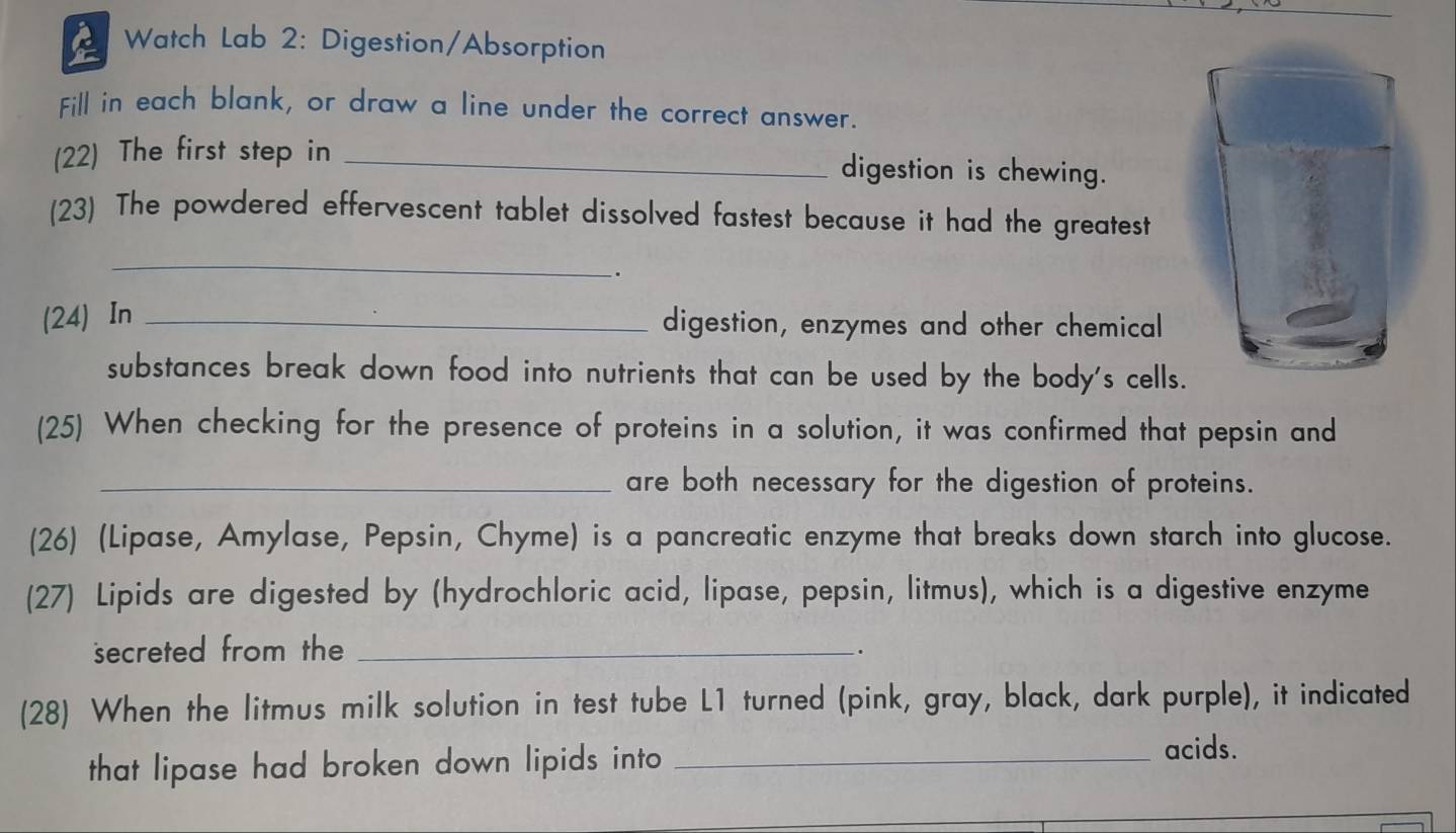 Watch Lab 2: Digestion/Absorption 
Fill in each blank, or draw a line under the correct answer. 
(22) The first step in _digestion is chewing. 
(23) The powdered effervescent tablet dissolved fastest because it had the greatest 
_ 
. 
(24) In_ 
digestion, enzymes and other chemical 
substances break down food into nutrients that can be used by the body's cells. 
(25) When checking for the presence of proteins in a solution, it was confirmed that pepsin and 
_are both necessary for the digestion of proteins. 
(26) (Lipase, Amylase, Pepsin, Chyme) is a pancreatic enzyme that breaks down starch into glucose. 
(27) Lipids are digested by (hydrochloric acid, lipase, pepsin, litmus), which is a digestive enzyme 
secreted from the_ 
. 
(28) When the litmus milk solution in test tube L1 turned (pink, gray, black, dark purple), it indicated 
that lipase had broken down lipids into _ 
acids.