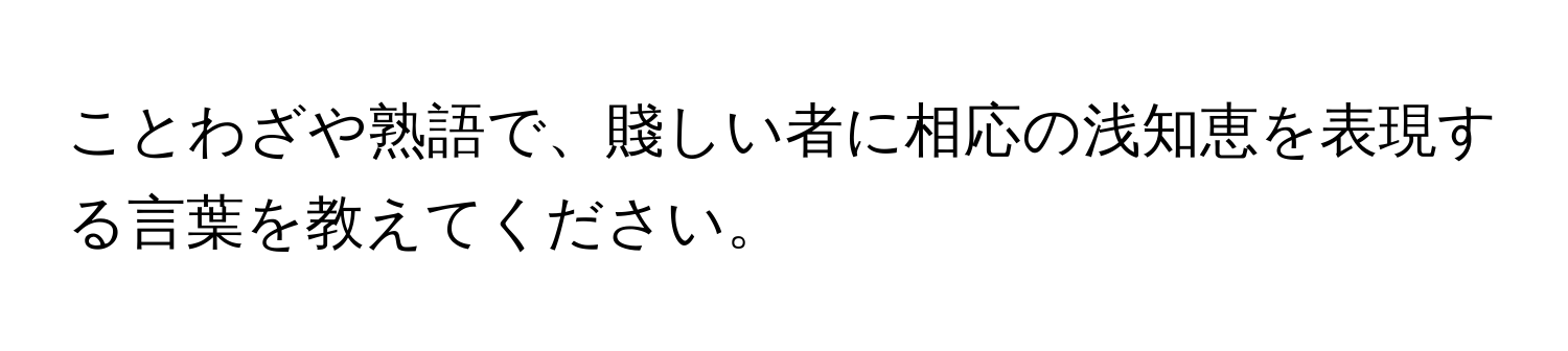 ことわざや熟語で、賤しい者に相応の浅知恵を表現する言葉を教えてください。