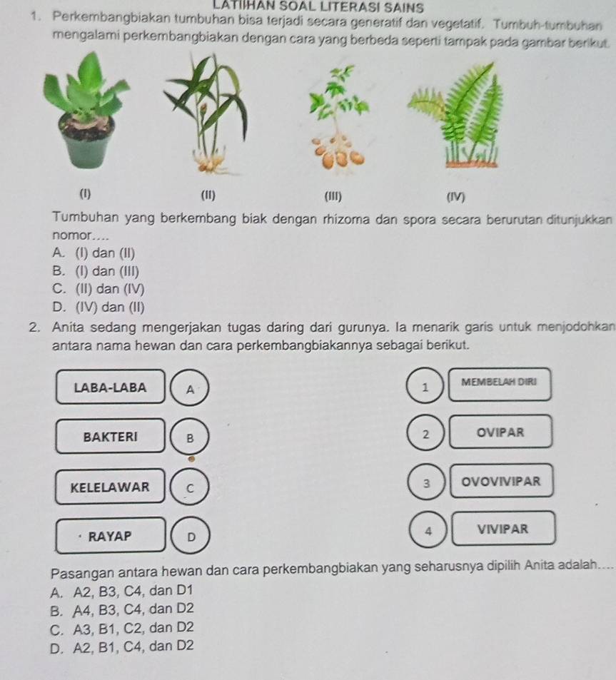 LATI!HAN SOAL LITERASI SAINS
1. Perkembangbiakan tumbuhan bisa terjadi secara generatif dan vegetatif. Tumbuh-tumbuhan
mengalami perkembangbiakan dengan cara yang berbeda seperti tampak pada gambar berikut.
(1) (11) ('II) (IV)
Tumbuhan yang berkembang biak dengan rhizoma dan spora secara berurutan ditunjukkan
nomor....
A. (I) dan (II)
B. (I) dan (III)
C. (II) dan (IV)
D. (IV) dan (II)
2. Anita sedang mengerjakan tugas daring dari gurunya. Ia menarik garis untuk menjodohkan
antara nama hewan dan cara perkembangbiakannya sebagai berikut.
LABA-LABA A 1 MEMBELAH DIRI
2
BAKTERI B OVIPAR
.
3
KELELAWAR C OVOVIVIPAR
RAYAP D
4 VIVIPAR
Pasangan antara hewan dan cara perkembangbiakan yang seharusnya dipilih Anita adalah....
A. A2, B3, C4, dan D1
B. A4, B3, C4, dan D2
C. A3, B1, C2, dan D2
D. A2, B1, C4, dan D2