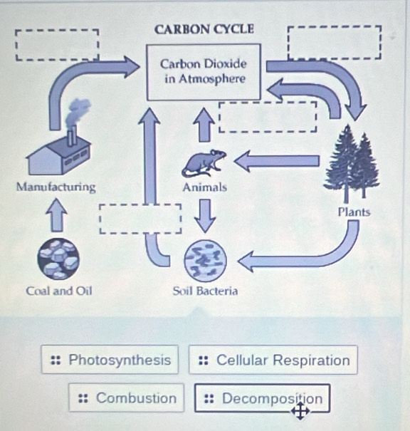 Photosynthesis Cellular Respiration
Combustion Decomposition