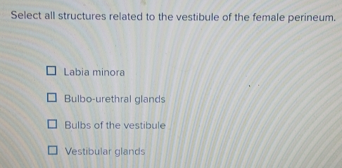 Select all structures related to the vestibule of the female perineum.
Labia minora
Bulbo-urethral glands
Bulbs of the vestibule
Vestibular glands