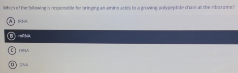 Which of the following is responsible for bringing an amino acids to a growing polypeptide chain at the ribosome?
AtRNA
BmRNA
C、 rRNA
D DNA