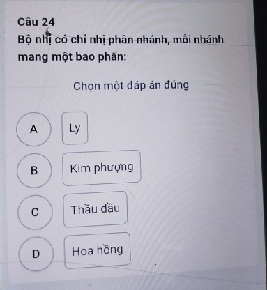 Bộ nhị có chỉ nhị phân nhánh, mỗi nhánh
mang một bao phấn:
Chọn một đáp án đúng
A Ly
B Kim phượng
C Thầu dầu
D Hoa hồng