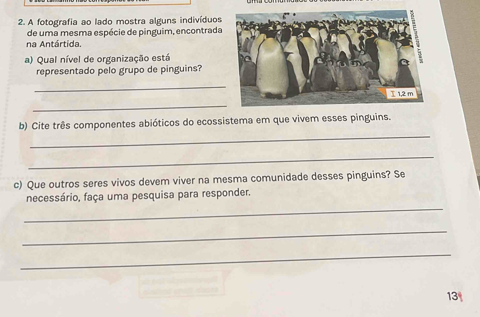 A fotografia ao lado mostra alguns indivíduos 
de uma mesma espécie de pinguim, encontrada 
na Antártida. 
a) Qual nível de organização está 
representado pelo grupo de pinguins? 
_ 
_ 
_ 
b) Cite três componentes abióticos do ecossistema em que vivem esses pinguins. 
_ 
c) Que outros seres vivos devem viver na mesma comunidade desses pinguins? Se 
_ 
necessário, faça uma pesquisa para responder. 
_ 
_ 
13