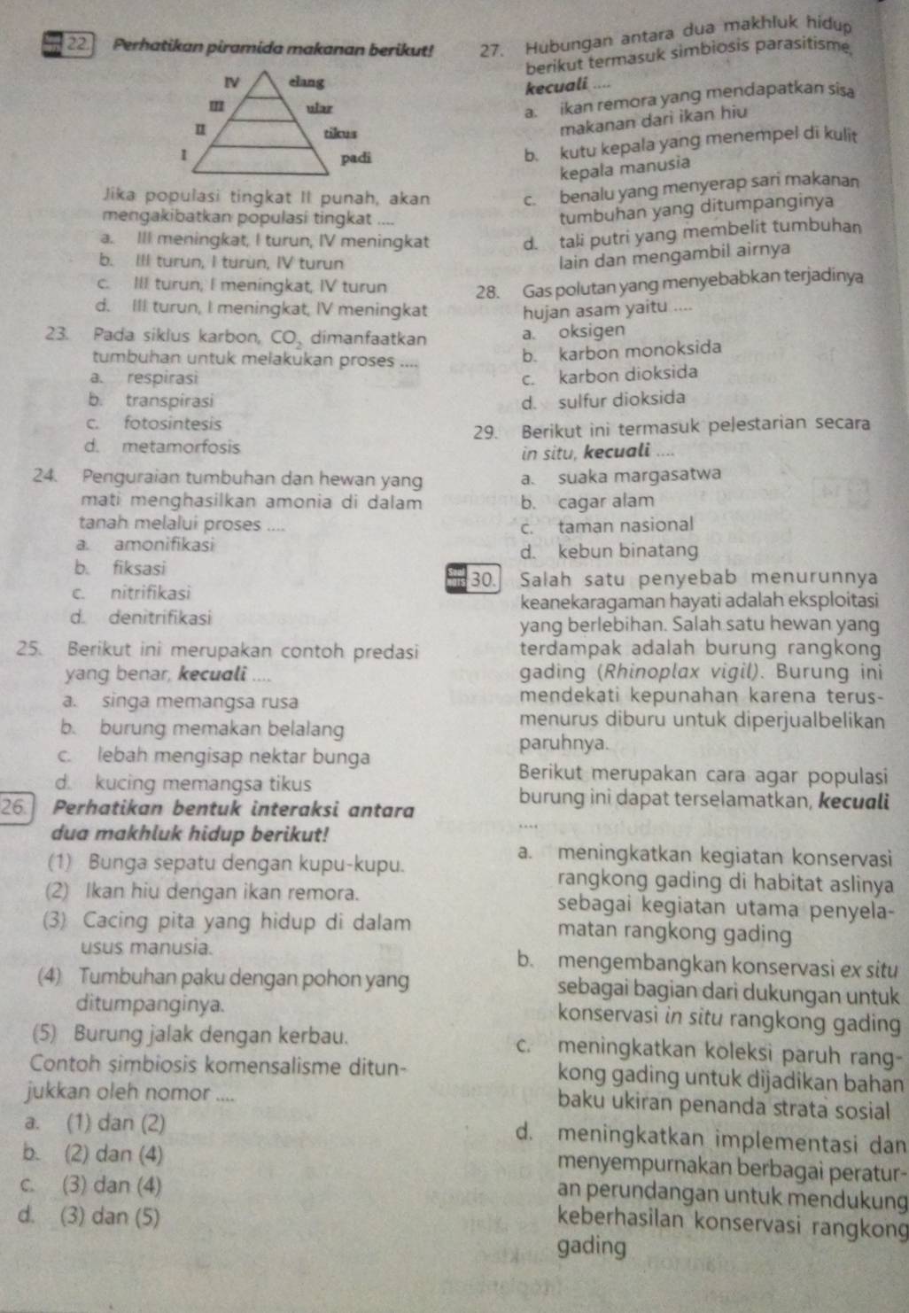 Perhatikan piramida makanan berikut! 27. Hubungan antara dua makhluk hidup
berikut termasuk simbiosis parasitisme,
“ 
kecuali
a. ikan remora yang mendapatkan sisa
makanan dari ikan hiu
b. kutu kepala yang menempel di kulit
kepala manusia
Jika populasi tingkat II punah, akan
c. benalu yang menyerap sari makanan
mengakibatkan populasi tingkat ..
tumbuhan yang ditumpanginya
a. III meningkat, I turun, IV meningkat
d. tali putri yang membelit tumbuhan
b. IIl turun, I turun, IV turun
lain dan mengambil airnya
c. III turun, I meningkat, IV turun 28. Gas polutan yang menyebabkan terjadinya
d. III turun, I meningkat, IV meningkat hujan asam yaitu ....
23. Pada siklus karbon, CO_2 dimanfaatkan a. oksigen
tumbuhan untuk melakukan proses ….
b. karbon monoksida
a. respirasi c. karbon dioksida
b. transpirasi d. sulfur dioksida
c. fotosintesis
d. metamorfosis 29. Berikut ini termasuk peļestarian secara
in situ, kecuali ....
24. Penguraian tumbuhan dan hewan yang a. suaka margasatwa
mati menghasilkan amonia di dalam b. cagar alam
tanah melalui proses .... c. taman nasional
a. amonifikasi d. kebun binatang
b. fiksasi
30. Salah satu penyebab menurunnya
c. nitrifikasi
keanekaragaman hayati adalah eksploitasi
d. denitrifikasi
yang berlebihan. Salah satu hewan yang
25. Berikut ini merupakan contoh predasi terdampak adalah burung rangkong
yang benar, kecuali .... gading (Rhinoplax vigil). Burung ini
a. singa memangsa rusa mendekati kepunahan karena terus-
b. burung memakan belalang
menurus diburu untuk diperjualbelikan
paruhnya.
c. lebah mengisap nektar bunga
d. kucing memangsa tikus
Berikut merupakan cara agar populasi
burung ini dapat terselamatkan, kecuali
26. Perhatikan bentuk interaksi antara
dua makhluk hidup berikut!
a. meningkatkan kegiatan konservasi
(1) Bunga sepatu dengan kupu-kupu. rangkong gading di habitat aslinya
(2) Ikan hiu dengan ikan remora. sebagai kegiatan utama penyela-
(3) Cacing pita yang hidup di dalam matan rangkong gading
usus manusia. b. mengembangkan konservasi ex situ
(4) Tumbuhan paku dengan pohon yang sebagai bagian dari dukungan untuk
ditumpanginya.
konservasi in situ rangkong gading
(5) Burung jalak dengan kerbau. c. meningkatkan koleksi paruh rang-
Contoh simbiosis komensalisme ditun- kong gading untuk dijadikan bahan
jukkan oleh nomor .._ baku ukiran penanda strata sosial
a. (1) dan (2)
d. meningkatkan implementasi dan
b. (2) dan (4)
menyempurnakan berbagai peratur-
c. (3) dan (4)
an perundangan untuk mendukung
d. (3) dan (5)
keberhasilan konservasi rangkong
gading