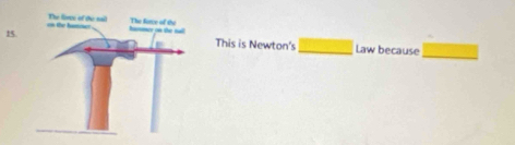 This is Newton's_ Law because_