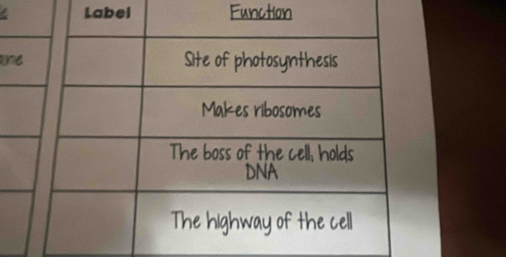 Label Function
e