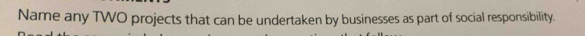 Name any TWO projects that can be undertaken by businesses as part of social responsibility.