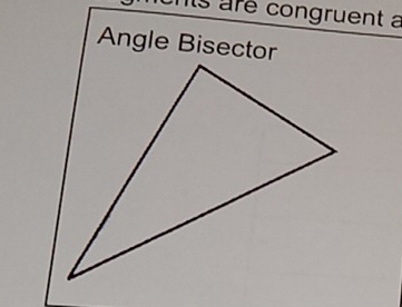 ts are congruent a 
Angle Bisector