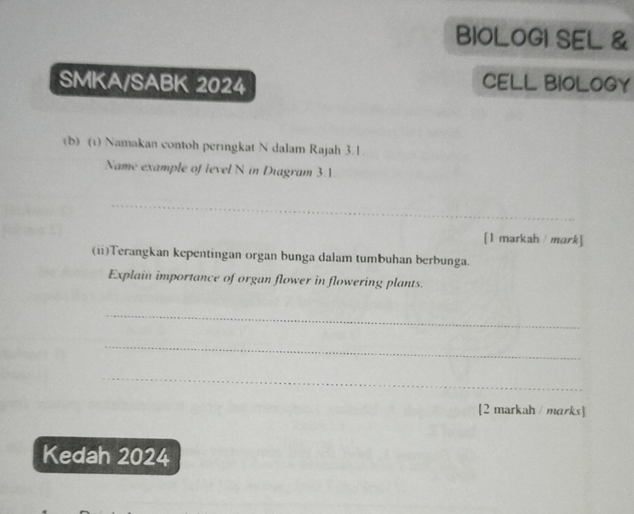 BIOLOGI SEL & 
SMKA/SABK 2024 CELL BIOLOGY 
(b) (1) Namakan contoh peringkat N dalam Rajah 3.1. 
Name example of level N in Diagram 3.1
_ 
[1 markah mark] 
(ii)Terangkan kepentingan organ bunga dalam tumbuhan berbunga. 
Explain importance of organ flower in flowering plants. 
_ 
_ 
_ 
[2 markah / marks] 
Kedah 2024