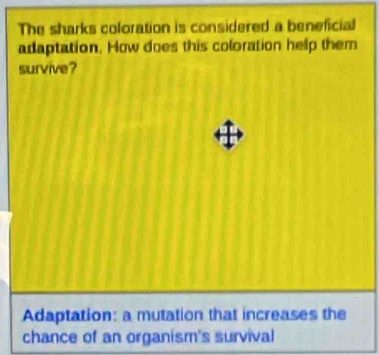 The sharks coloration is considered a beneficial 
adaptation. How does this coloration help them 
survive? 
Adaptation: a mutation that increases the 
chance of an organism's survival