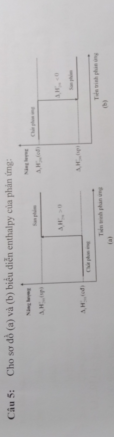 Cho sơ đồ (a) và (b) biểu diễn enthalpy của phản ứng:
(a)