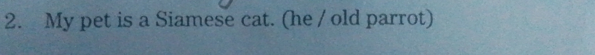 My pet is a Siamese cat. (he / old parrot)