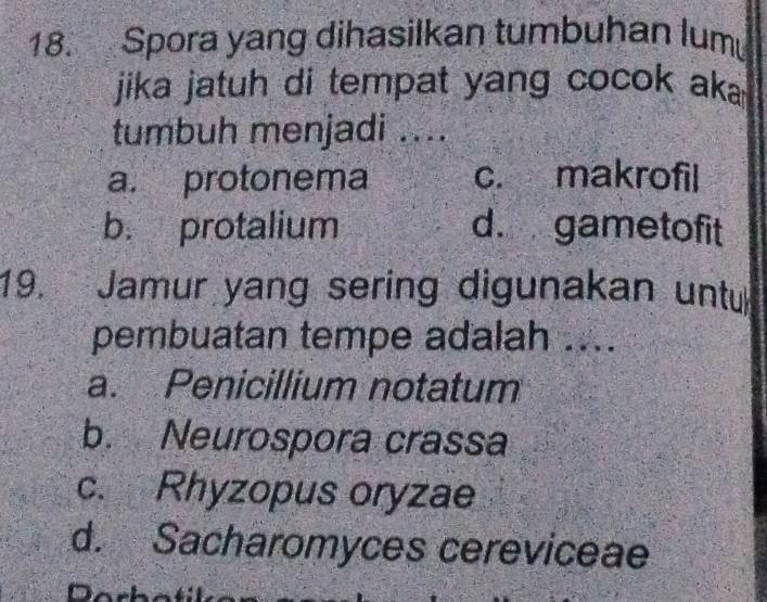 Spora yang dihasilkan tumbuhan lum
jika jatuh di tempat yang cocok aka 
tumbuh menjadi ....
a. protonema c. makrofil
b. protalium d. gametofit
19. Jamur yang sering digunakan untu
pembuatan tempe adalah ....
a. Penicillium notatum
b. Neurospora crassa
c. Rhyzopus oryzae
d. Sacharomyces cereviceae