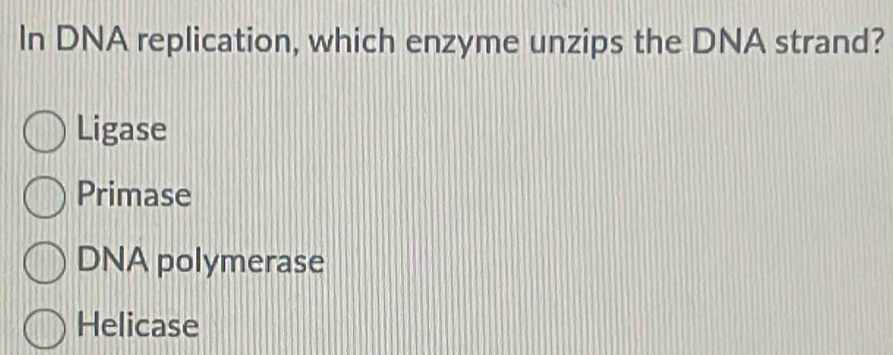 In DNA replication, which enzyme unzips the DNA strand?
Ligase
Primase
DNA polymerase
Helicase