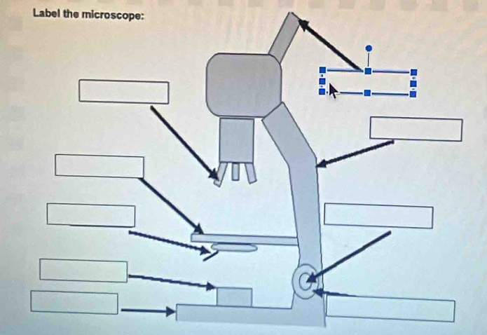 Label the microscope: