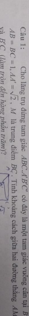 Cho lăng trụ đứng tam giác ABC. A'B'C' có đáy là một tam giác vuông cân tại B
AB=BC=1, AA'=sqrt(2) , Mô là trung điểm BC. Tính khoảng cách giữa hai đường thẳng AM
và B'C (làm tròn đến hàng phần trăm)?