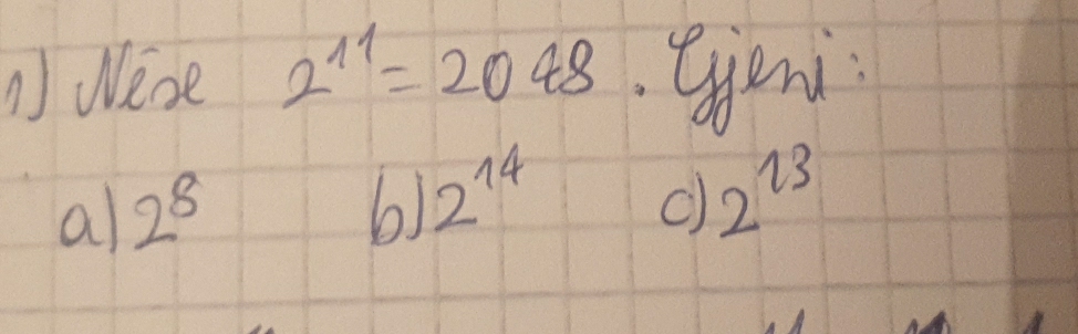 nWense 2^(11)=2048 Gieni 
a 2^8
6) 2^(14) 2^(13)