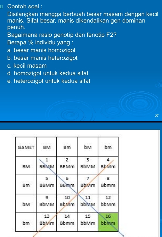 Contoh soal :
Disilangkan mangga berbuah besar masam dengan kecil
manis. Sifat besar, manis dikendalikan gen dominan
penuh.
Bagaimana rasio genotip dan fenotip F2?
Berapa % individu yang :
a. besar manis homozigot
b. besar manis heterozigot
c. kecil masam
d. homozigot untuk kedua sifat
e. heterozigot untuk kedua sifat
27