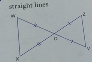 straight lines 
×