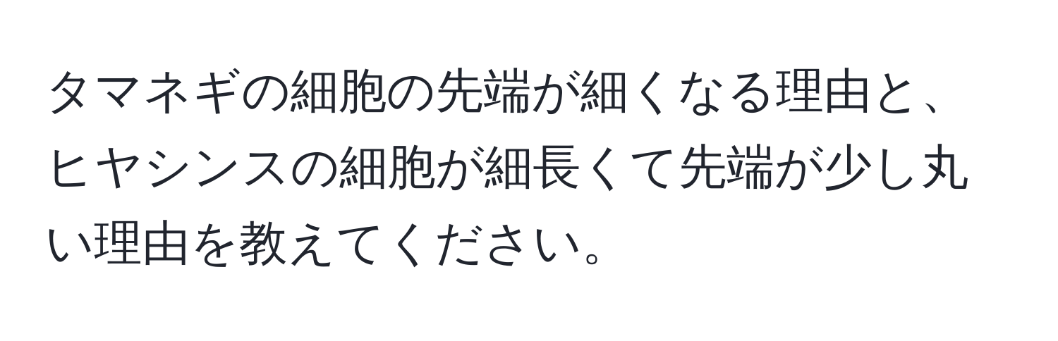 タマネギの細胞の先端が細くなる理由と、ヒヤシンスの細胞が細長くて先端が少し丸い理由を教えてください。