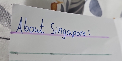 About Singapore: