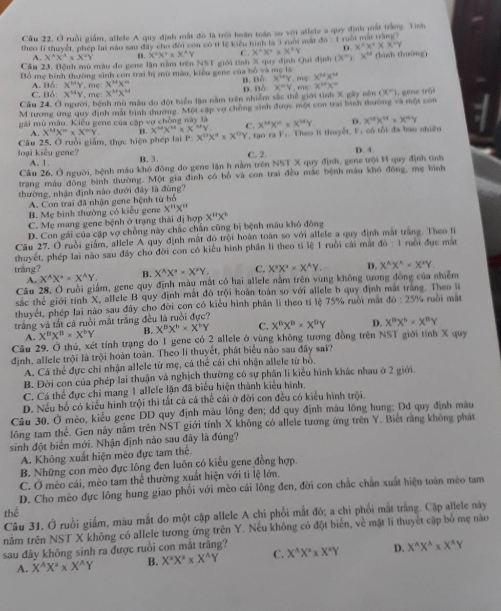 Ở ruồi giảm, allele A quy định mắt đó là trội hoàn toán so với allele a quy định mất trắng. Tình
theo lí thuyết, phép lai nào sau đây cho đời con có tỉ lệ kiểu hình là 3 ruôi mất đó :1 ruồi mài tràng
A. X^(wedge)X^(wedge)* X^(wedge)Y B. X^aX^x* X^AY C. X^(wedge)X^** X^(wedge)Y D. X^(wedge)X^*X^*Y
Cầu 23, Bệnh mù màu do gene lận nằm trên NST giới tính X quy định Qui định (X^m);X^M (bình thướng)
Bố mẹ bình thường sinh con trai bị mù màu, kiểu gene của bộ và mẹ là
A. Bố: X^MY , mẹ: X^(M'') B. Bố X^(14)Y , mg: X^(14)X^(14)
C. Bổ: X^MY , mç: X^MX^M D. Bỗ: X'prime V , me x^(14)X^m
Câu 24. Ở người, bệnh mù màu do đột biển lận năm trên nhiễm sắc thể giới tính X gây nên (x°) 1. gene trội
M tương ứng quy định mắt bình thường. Một cập vợ chồng sinh được một con trai bình thường và một con
gái mù màu. Kiểu gene của cập vợ chồng này là X^MX^(10)* X^(14)Y. D. X^(14)X^(14)* X^mY
A. X^MX^m* X^mY. B. X^MX^M* X^MY C.
Câu 25. Ở ruồi giám, thực hiện phép lai P:X^DX^d* X^DY , tạo ra F_f. Theo li thuyết, F_1 có tối đa bao nhiều
loại kiểu gene? D. 4
A. 1. B. 3. C. 2.
Câu 26. Ở người, bệnh máu khó đông do gene lận h nằm trên NST X quy định, gene trội H quy định tình
trạng máu đông bình thường. Một gia đình có bố và con trai đều mắc bệnh máu khó đồng, mẹ bình
thường, nhận định nào dưới đây là đúng?
A. Con trai đã nhận gene bệnh từ bố
B. Mẹ bình thường có kiểu gene X''X''
C. Mẹ mang gene bệnh ở trạng thái đị hợp X''X''
D. Con gái của cặp vợ chồng này chắc chắn cũng bị bệnh máu khó đông
Câu 27. Ở ruồi giám, allele A quy định mắt độ trội hoàn toàn so với allele a quy định mắt trắng. Theo li
thuyết, phép lai nào sau đây cho đời con có kiểu hình phân li theo tỉ lệ 1 ruồi cái mắt đó : 1 ruồi đực mắt
trắng? C. X^aX^a* X^AY. D. X^(wedge)X^(wedge)* X^3Y.
A. X^(wedge)X^a* X^(wedge)Y. B. X^(wedge)X^a* X^aY.
Câu 28. Ở ruồi giấm, gene quy định màu mắt có hai allele nằm trên vùng không tương đồng của nhiễm
sắc thể giới tính X, allele B quy định mắt đô trội hoàn toàn so với allele b quy định mắt trắng. Theo li
thuyết, phép lai nào sau đây cho đời con có kiểu hình phân lí theo tỉ lệ 75% ruời mắt 46:25% ruồi mắt
trắng và tất cả ruồi mắt trắng đều là ruồi dực?
A. X^BX^B* X^bY B. X^BX^b* X^bY C. X^BX^B* X^BY D. X^BX^b* X^BY
Câu 29. Ở thú, xét tính trạng do 1 gene có 2 allele ở vùng không tương đồng trên NST giới tính X quy
định, allele trội là trội hoàn toàn. Theo lí thuyết, phát biểu nảo sau đây sai?
A. Cá thể dực chỉ nhận allele từ mẹ, cá thể cái chỉ nhận allele từ bổ,
B. Đời con của phép lai thuận và nghịch thường có sự phân li kiểu hình khác nhau ở 2 giới.
C. Cá thể đực chỉ mang 1 allele lặn đã biểu hiện thành kiểu hình.
D. Nếu bố có kiểu hình trội thì tất cả cá thể cái ở đời con đều có kiểu hình trội.
Câu 30. Ở mèo, kiểu gene DD quy định màu lông đen; dd quy định màu lông hung; Dđ quy định màu
lông tam thể. Gen này nằm trên NST giới tính X không có allele tương ứng trên Y. Biết rằng không phát
sinh đột biến mới. Nhận định nào sau đây là đúng?
A. Không xuất hiện mèo đực tam thể.
B. Những con mèo dực lông đen luôn có kiểu gene đồng hợp.
C. Ở mèo cái, mèo tam thể thường xuất hiện với ti lệ lớn.
D. Cho mèo đực lông hung giao phối với mèo cái lông đen, đời con chắc chấn xuất hiện toàn mèo tam
thể
Câu 31. Ở ruồi giấm, màu mắt do một cặp allele A chí phối mắt đỏ; a chi phối mắt trắng. Cặp allele này
nằm trên NST X không có allele tương ứng trên Y. Nếu không có đột biển, về mặt lí thuyết cập bố mẹ nào
sau đây không sinh ra được ruồi con mắt trắng? D. X^(wedge)X^(wedge)* X^(wedge)Y
A. X^AX^a* X^AY B. X^aX^a* X^AY C. X^(wedge)X^a* X^aY