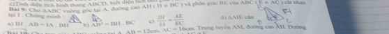 ính diện tích hình thang ABCD, biết diện tích là
tại I . Chứng minh : Bài 9: Cho △ ABC uờng góc tại A, đường cao AH(H∈ BC) và phân giác B của ABC(E∈ AC) cát nhau
d) △ AIE cán
a) III.AB=1A.IWI b) AB^2=BH.BC c)  111/11 = AE/EC  1. Trung tuyên AM, đường cao ÁH Đường
△ AB=12cm, AC=16cm