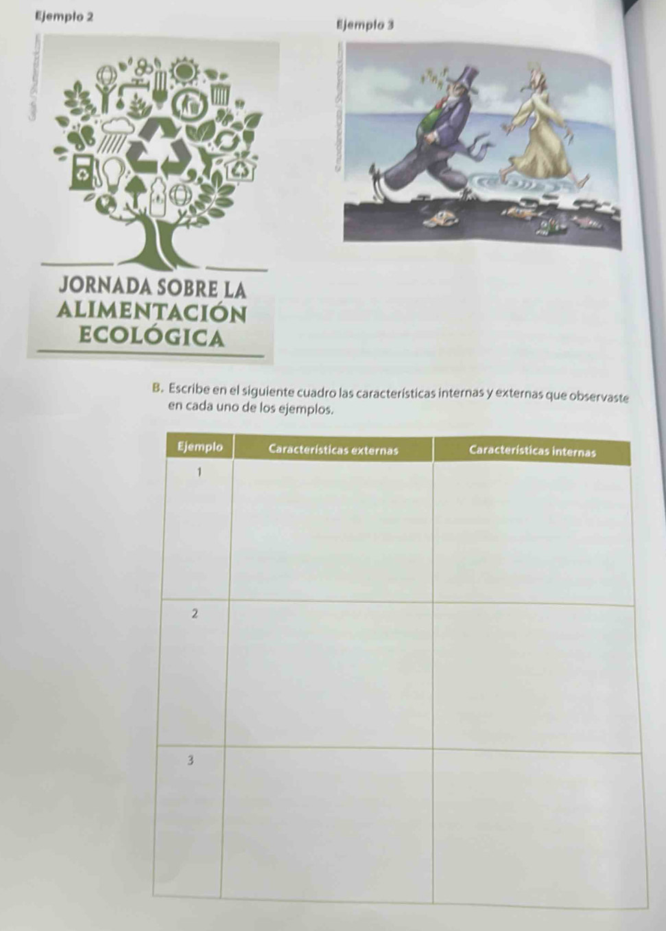 Ejemplo 2 Ejemplo 3 
B. Escribe en el siguiente cuadro las características internas y externas que observaste 
en cada uno de los ejemplos.