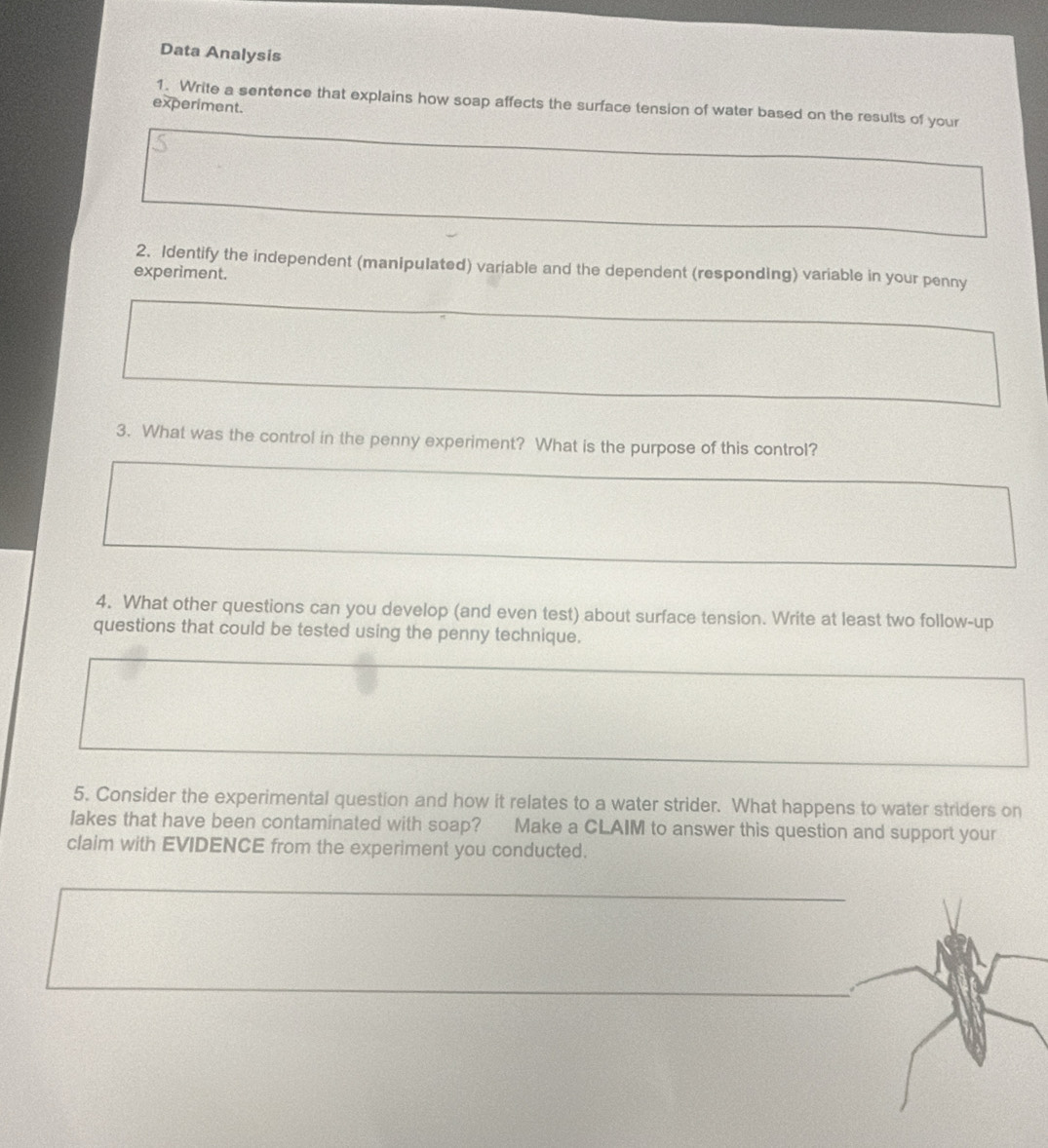Data Analysis 
1. Write a sentence that explains how soap affects the surface tension of water based on the results of your 
experiment. 
2. Identify the independent (manipulated) variable and the dependent (responding) variable in your penny 
experiment. 
3. What was the control in the penny experiment? What is the purpose of this control? 
4. What other questions can you develop (and even test) about surface tension. Write at least two follow-up 
questions that could be tested using the penny technique. 
5. Consider the experimental question and how it relates to a water strider. What happens to water striders on 
lakes that have been contaminated with soap? Make a CLAIM to answer this question and support your 
claim with EVIDENCE from the experiment you conducted.