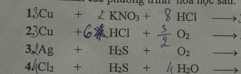 phdong tr noa nộe sau.
13Cu +  1/2  L KNO₃ + 8 HCl
23Cu +( HCl + 9/5  O_2
32Ag + H_2S+ O_2
44 (Cl₂ + H₂S + ή H_2O