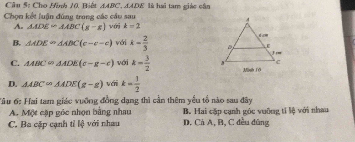 Cho Hình 10. Biết △ ABC, △ ADE là hai tam giác cân
Chọn kết luận đúng trong các câu sau
A. △ ADE∽ △ ABC(g-g) với k=2
B. △ ADE∽ △ ABC(c-c-c) với k= 2/3 
C. △ ABC∽ △ ADE(c-g-c) với k= 3/2 
D. △ ABC∽ △ ADE(g-g) với k= 1/2 
Tầu 6: Hai tam giác vuông đồng dạng thì cần thêm yếu tố nào sau đây
A. Một cặp góc nhọn bằng nhau B. Hai cặp cạnh góc vuông tỉ lệ với nhau
C. Ba cặp cạnh tỉ lệ với nhau D. Cả A, B, C đều đúng