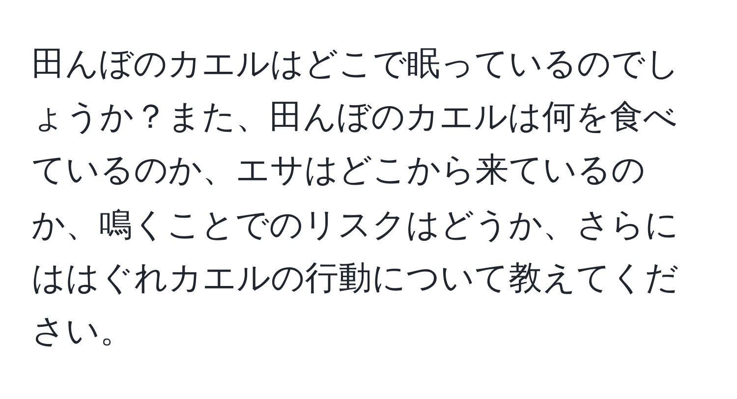 田んぼのカエルはどこで眠っているのでしょうか？また、田んぼのカエルは何を食べているのか、エサはどこから来ているのか、鳴くことでのリスクはどうか、さらにははぐれカエルの行動について教えてください。