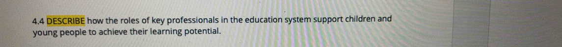 4.4 DESCRIBE how the roles of key professionals in the education system support children and 
young people to achieve their learning potential.