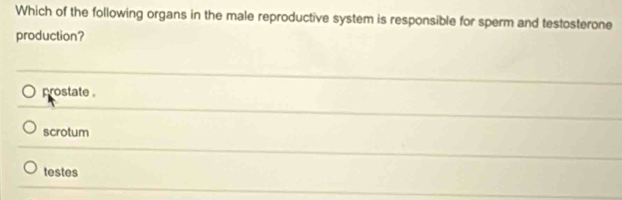 Which of the following organs in the male reproductive system is responsible for sperm and testosterone
production?
prostate .
scrotum
testes