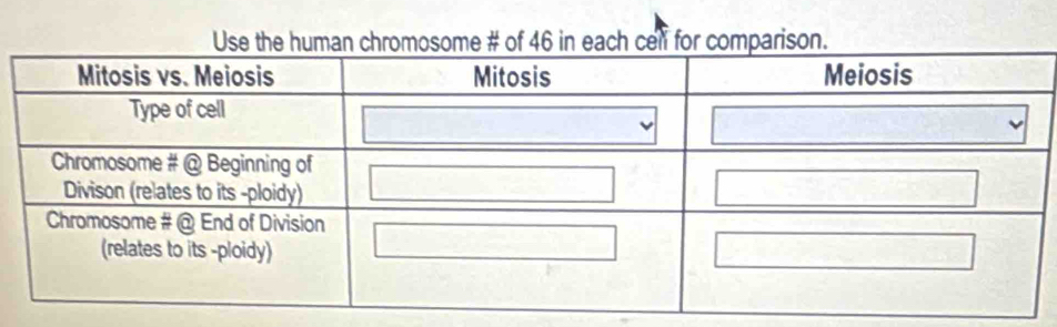 Use the human chromosome # of 46 in each cell for crison.