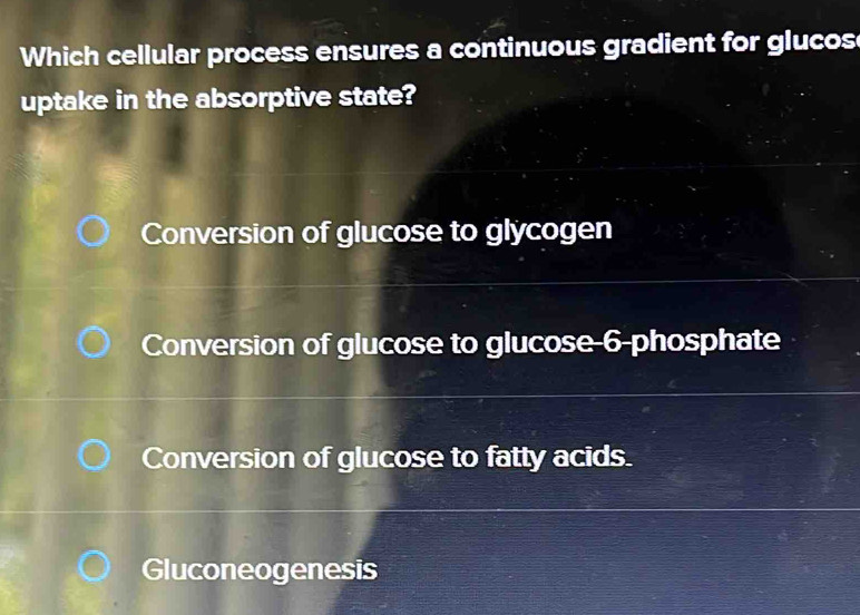 Which cellular process ensures a continuous gradient for glucos
uptake in the absorptive state?
Conversion of glucose to glycogen
Conversion of glucose to glucose -6 -phosphate
Conversion of glucose to fatty acids.
Gluconeogenesis