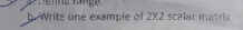 Write one exampie of 2X2 scalar matrix