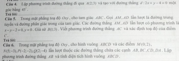 Lập phương trình đường thăng đi qua A(2;3) và tạo với đường thắng d:2x+y-4=0 một 
góc bằng 45°. 
Trả lời:_ 
Câu 5. Trong mặt phẳng toạ độ Oxy, cho tam giác ABC. Gọi AM, AD lần lượt là đường trung 
tuyến và đường phân giác trong của tam giác. Các đường thẳng AM, AD lần lượt có phương trình là
x-y-2=0, y=0. Giả sử B(1;3). Viết phương trình đường thắng AC và xác định toạ độ của điểm
C. 
Trả lời:_ 
Câu 6. Trong mặt phẳng toạ độ Oxy, cho hình vuông ABCD và các điểm M(0;2),
N(5;-3), P(-2;-2), Q(2;-4) lần lượt thuộc các đường thắng chứa các cạnh AB, BC, CD, DA. Lập 
phương trình đường thắng AB và tính diện tích hình vuông ABCD.