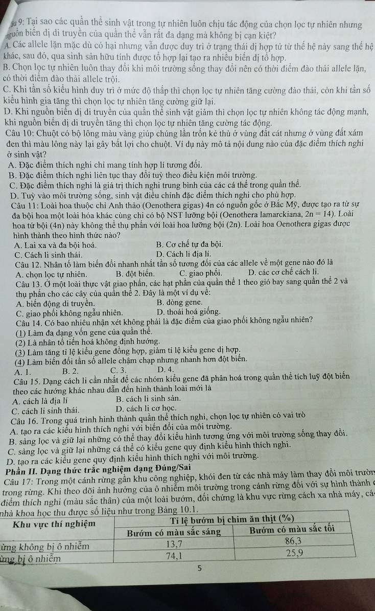 # 9: Tại sao các quần thể sinh vật trong tự nhiên luôn chịu tác động của chọn lọc tự nhiên nhưng
guồn biến dị di truyền của quần thể vẫn rất đa dạng mà không bị cạn kiệt?
A. Các allele lặn mặc dù có hại nhưng vẫn được duy trì ở trạng thái dị hợp tử từ thế hệ này sang thế hệ
khác, sau đó, qua sinh sản hữu tính được tổ hợp lại tạo ra nhiều biến dị tổ hợp.
B. Chọn lọc tự nhiên luôn thay đổi khi môi trường sống thay đổi nên có thời điểm đảo thải allele lặn,
có thời điểm đào thải allele trội.
C. Khi tần số kiểu hình duy trì ở mức độ thấp thì chọn lọc tự nhiên tăng cường đảo thải, còn khi tần số
kiểu hình gia tăng thì chọn lọc tự nhiên tăng cường giữ lại.
D. Khi nguồn biến dị di truyền của quần thể sinh vật giảm thì chọn lọc tự nhiên không tác động mạnh,
khi nguồn biến dị di truyền tăng thì chọn lọc tự nhiên tăng cường tác động.
Câu 10: Chuột có bộ lông màu vàng giúp chúng lần trốn kẻ thù ở vùng đất cát nhưng ở vùng đất xám
đen thì màu lông này lại gây bắt lợi cho chuột. Ví dụ này mô tả nội dung nào của đặc điểm thích nghi
ở sinh vật?
A. Đặc điểm thích nghi chỉ mang tính hợp lí tương đối.
B. Đặc điểm thích nghi liên tục thay đổi tuỳ theo điều kiện môi trường.
C. Đặc điểm thích nghi là giá trị thích nghỉ trung bình của các cá thể trong quần thể.
D. Tuỳ vào môi trường sống, sinh vật điều chỉnh đặc điểm thích nghi cho phù hợp.
Câu 11: Loài hoa thuộc chỉ Anh thảo (Oenothera gigas) 4n có nguồn gốc ở Bắc Mỹ, được tạo ra từ sự
đa bội hoa một loài hóa khác cùng chi có bộ NST lưỡng bội (Oenothera lamarckiana, 2n=14). Loài
hoa tứ bội (4n) này không thể thụ phần với loài hoa lưỡng bội (2n). Loài hoa Oenothera gigas được
hình thành theo hình thức nào?
A. Lai xa và đa bội hoá. B. Cơ chế tự đa bội.
C. Cách li sinh thái. D. Cách li địa lí.
Câu 12. Nhân tố làm biến đổi nhanh nhất tần số tương đối của các allele về một gene nào đó là
A. chọn lọc tự nhiên. B. đột biến. C. giao phối. D. các cơ chế cách li.
Câu 13. Ở một loài thực vật giao phần, các hạt phần của quần thể 1 theo gió bay sang quần thể 2 và
thụ phần cho các cây của quần thể 2. Đây là một ví dụ về:
A. biến động di truyền. B. dòng gene.
C. giao phối không ngẫu nhiên. D. thoái hoá giống.
Câu 14. Có bao nhiêu nhận xét không phải là đặc điểm của giao phối không ngẫu nhiên?
(1) Làm đa dạng vốn gene của quần thể.
(2) Là nhân tổ tiến hoá không định hướng.
(3) Làm tăng tỉ lệ kiểu gene đồng hợp, giảm tỉ lệ kiểu gene dị hợp,
(4) Làm biển đồi tần số allele chậm chạp nhưng nhanh hơn đột biển.
A. 1. B. 2. C. 3. D. 4.
Câu 15. Dạng cách li cần nhất để các nhóm kiểu gene đã phân hoá trong quần thể tích luỹ đột biến
theo các hướng khác nhau dẫn đến hình thành loài mới là
A. cách là địa lí B. cách li sinh sản.
C. cách li sinh thái. D. cách li cơ học.
Câu 16. Trong quá trình hình thành quần thể thích nghi, chọn lọc tự nhiên có vai trò
A. tạo ra các kiểu hình thích nghi với biến đổi của môi trường.
B. sàng lọc và giữ lại những có thể thay đổi kiểu hình tương ứng với môi trường sống thay đổi.
C. sàng lọc và giữ lại những cá thể có kiểu gene quy định kiểu hình thích nghi.
D. tạo ra các kiểu gene quy định kiểu hình thích nghi với môi trường.
Phần II. Dạng thức trắc nghiệm dạng Đúng/Sai
Câu 17: Trong một cánh rừng gần khu công nghiệp, khói đen từ các nhà máy làm thay đổi môi trườn
trong rừng. Khi theo dõi ảnh hưởng của ô nhiễm môi trường trong cánh rừng đối với sự hình thành ở
điểm thích nghi (màu sắc thân) của một loài bướm, đối chứng là khu vực rừng cách xa nhà máy, các
kn
ừ
ù