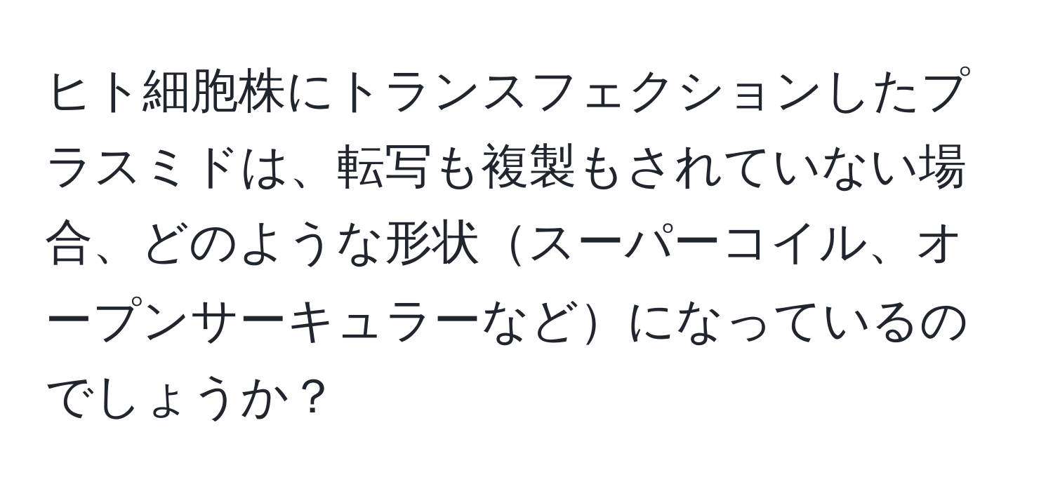 ヒト細胞株にトランスフェクションしたプラスミドは、転写も複製もされていない場合、どのような形状スーパーコイル、オープンサーキュラーなどになっているのでしょうか？