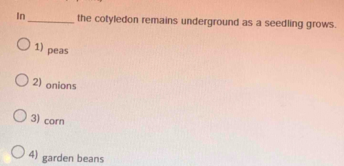 In_ the cotyledon remains underground as a seedling grows.
1) peas
2) onions
3) corn
4) garden beans