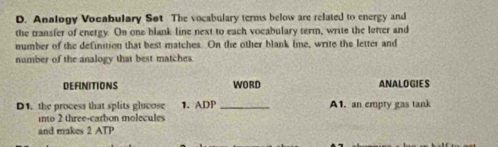 Analogy Vocabulary Set The vocabulary terms below are related to energy and 
the transfer of energy. On one blank line next to each vocabulary term, write the letter and 
number of the definition that best matches. On the other blank line, write the letter and 
number of the analogy that best matches 
DEFINITIONS WORD ANALOGIES 
D1. the process that splits glucose 1. ADP _A1. an empry gas tank 
into 2 three-carbon molecules 
and makes 2 ATP