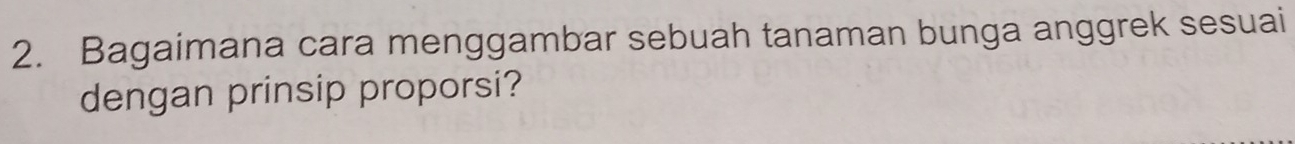 Bagaimana cara menggambar sebuah tanaman bunga anggrek sesuai 
dengan prinsip proporsi?