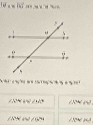 ' and bi are parallel line .